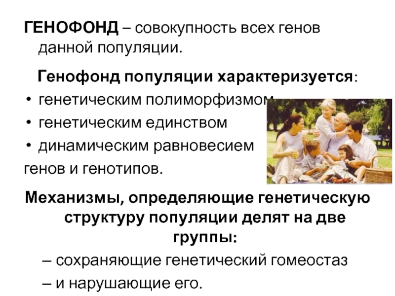 Совокупность всех генов