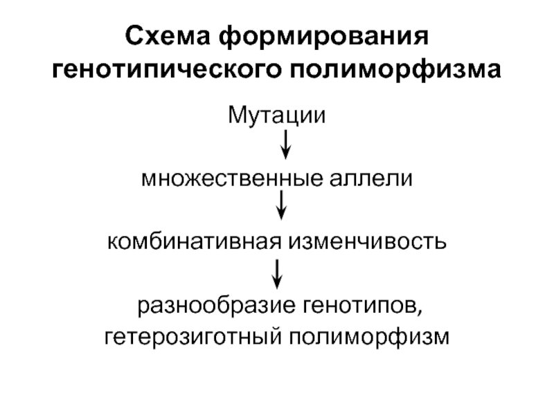 Генотипические особенности человека схема рационального питания