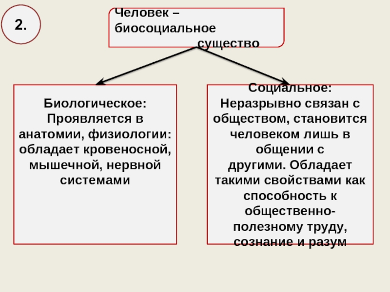 Биосоц сущность человека план