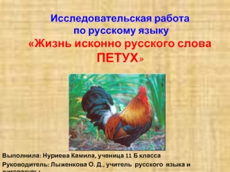 Исследовательская работа по русскому языку                        Жизнь исконно русского слова ПЕТУХ