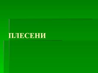 Плесени. Общая характеристика