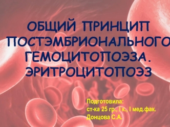 Общий принцип постэмбрионального гемоцитопоэза. Эритроцитопоэз