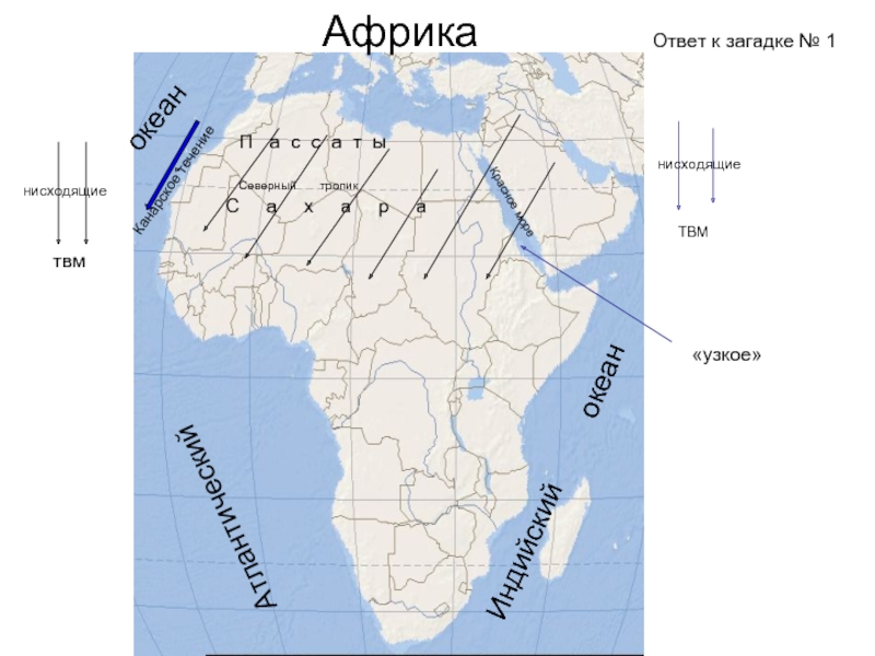 Очертание берегов африки