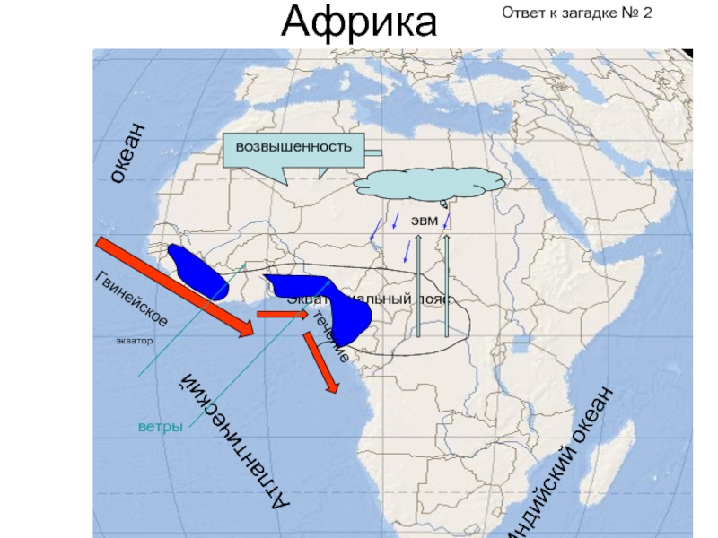 Холодные течения гвинейское. Канарское течение на карте Африки. Гвинейское течение на карте. Гвинейскоетёплое течение на карте.