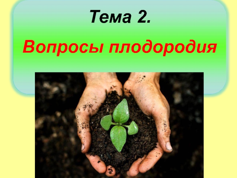 Способность почвы удовлетворять. Потребность растений в элементах питания. Потребности цветов растений. Способность почвы удовлетворять потребности. Элементы питания в почве.
