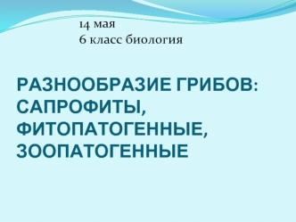 Разнообразие грибов: сапрофиты, фитопатогенные, зоопатогенные