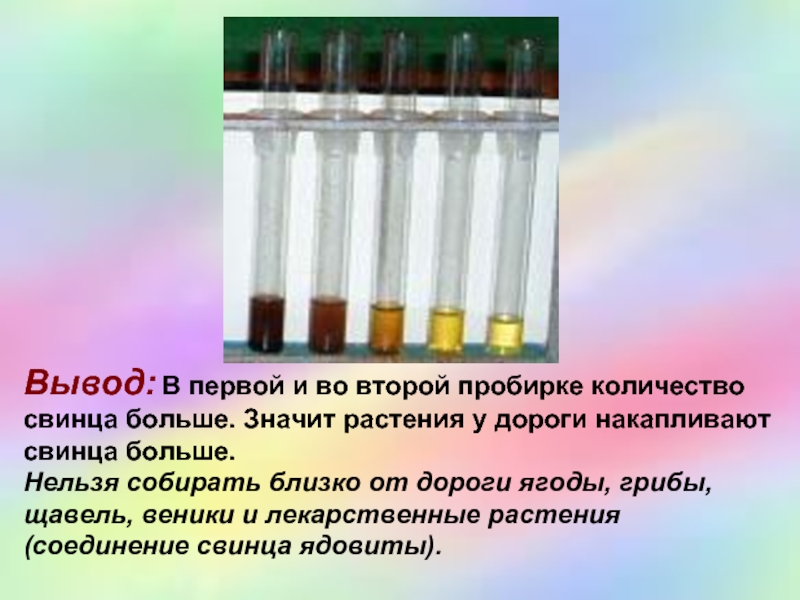 В первую и вторую пробирки. Свинец определение. Определение свинца в растительности. Свинец в пробирке. Обнаружение свинца в воде.