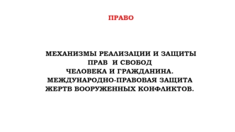 Механизмы реализации и защиты прав и свобод человека и гражданина. Международно-правовая защита жертв вооруженных конфликтов