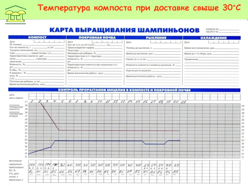 Технологическая карта выращивания винограда