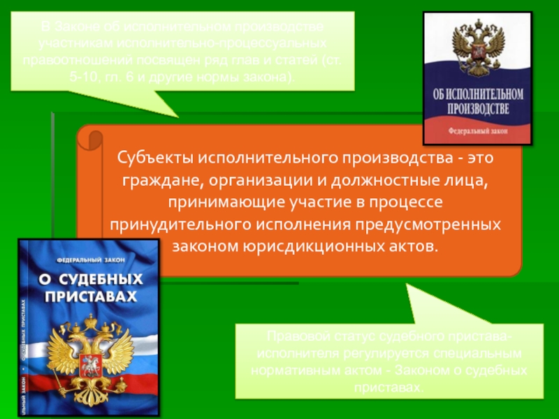 Реферат: Судебный пристав как участник гражданского процесса