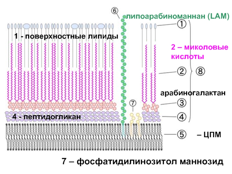 Школа цпм карта