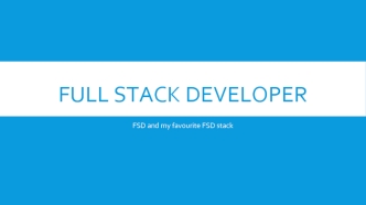 Full Stack developer
