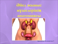 Қыздар жыныстық қатынас кезінде сөйлесетін орысша порно табыңыз