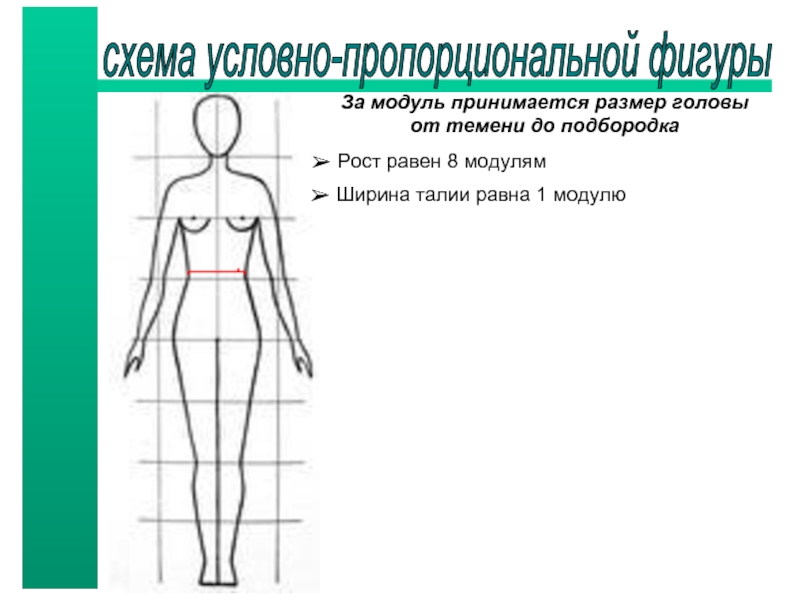 Принимать размеры