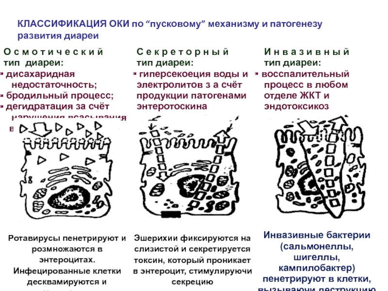 Секреторная диарея