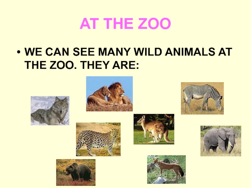 Английский 2 класс тема животных. Animals 2 класс презентация. Презентация at the Zoo. Открытый урок на тему animals. Презентация на английском зоопарк.