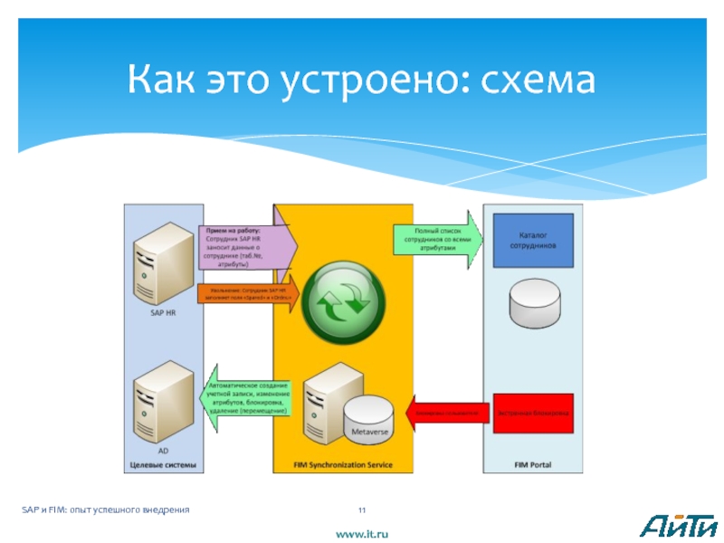 Как устроена схема. Www схема. Задачи автоматизации SAP. Технология www схема.