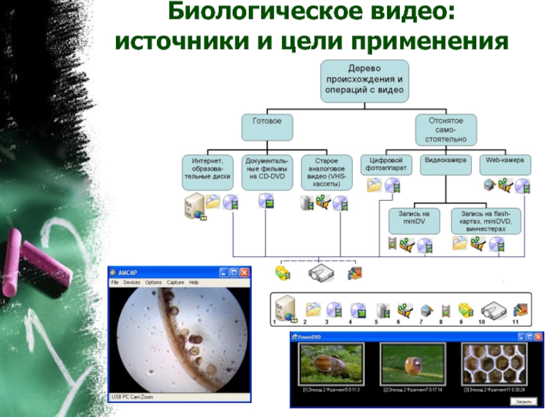 Биологическое видео. Биологические видео. Биологические видео с 7 по 9 класс.