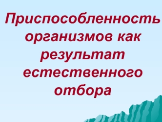 Приспособленность организмов как результат естественного отбора