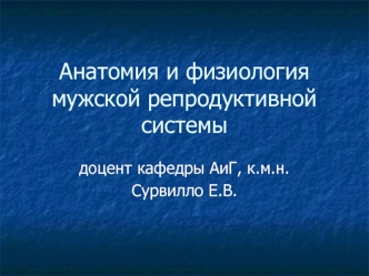 Анатомия и физиология мужской репродуктивной системы