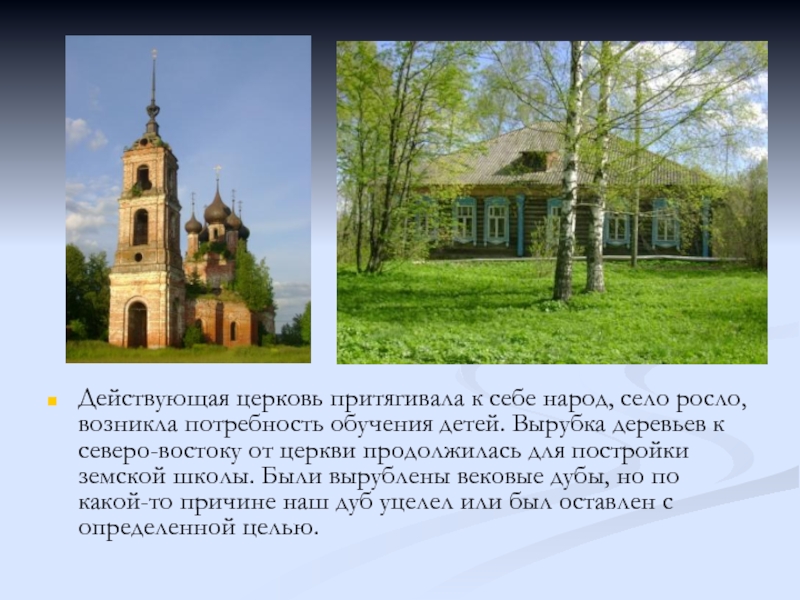 Я вырос в селе. Сколько деревьев в селе Ильинском.