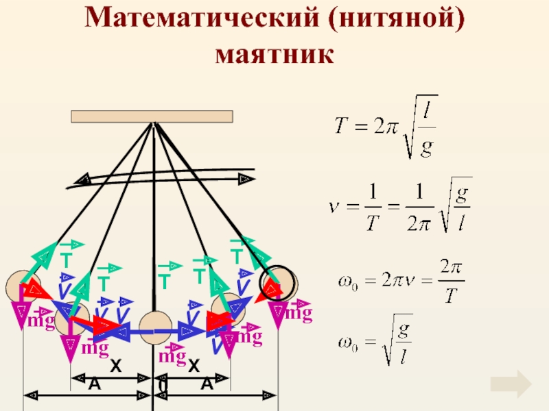 1 колебание математического маятника. Математический маятник нитяной и пружинный. Нитяной и пружинный маятники формулы. Нитяной маятник и пружинный маятник. Колебания нитяного маятника.