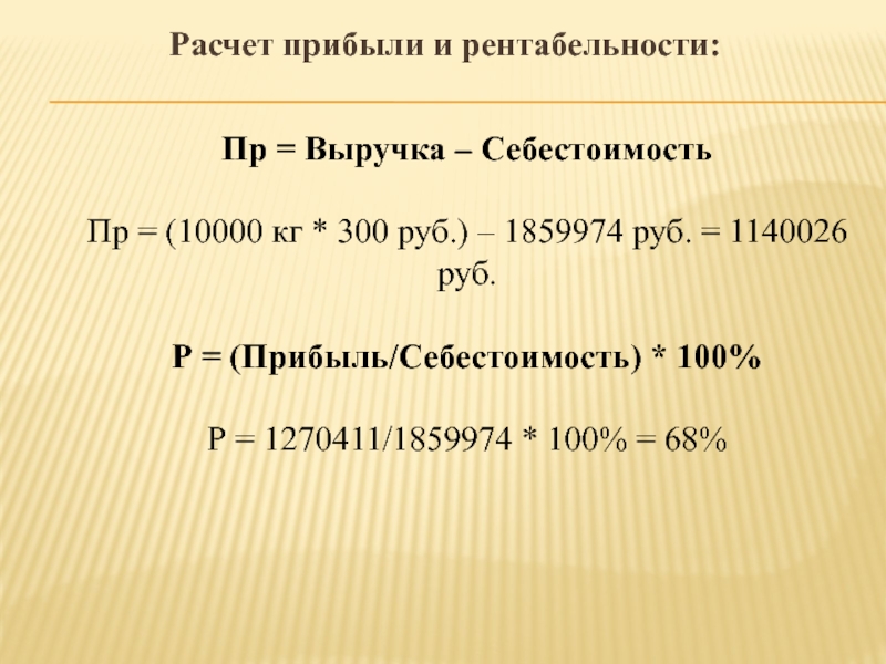 Как рассчитать чистую прибыль проекта