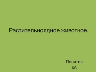 Растительноядное животное кокосовый краб, или пальмовый вор