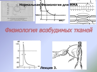 Нормальная Физиология для ММА. Физиология возбудимых тканей