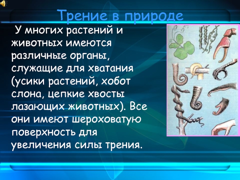 Трение в технике доклад. Трение в природе. Трение в природе и технике. Презентация на тему трение в природе. Трение в природе у животных.