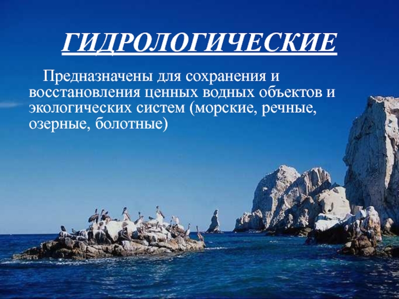 ГИДРОЛОГИЧЕСКИЕ  Предназначены для сохранения и восстановления ценных водных объектов и экологических систем (морские, речные,