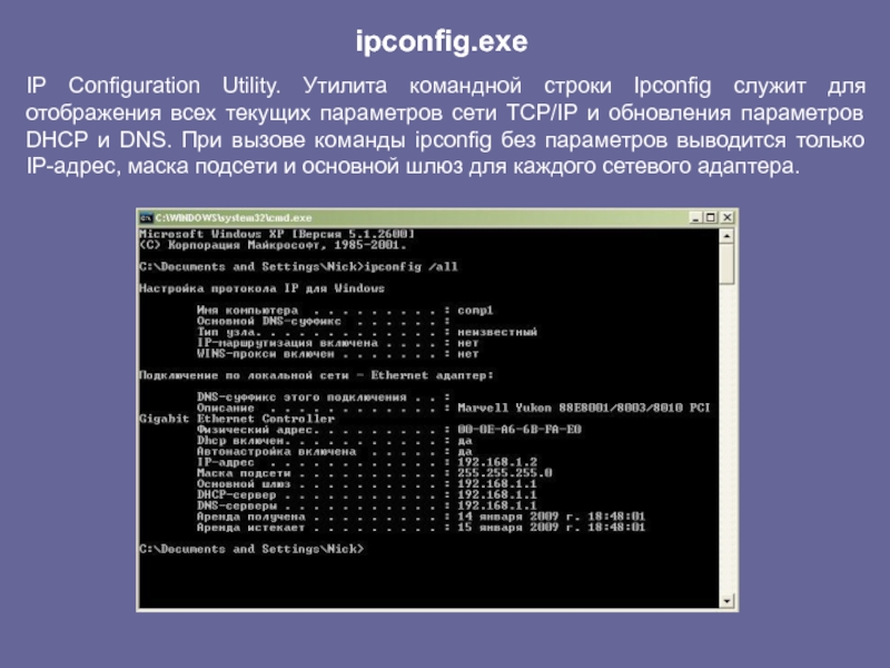 Без параметров. Командная строка ipconfig. Команда ipconfig в командной строке. Сетевые утилиты ipconfig. Графические утилиты и утилиты командной строки.