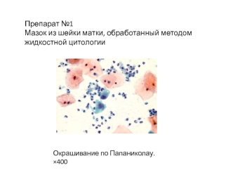 Практическое занятие по препаратам