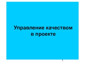 Управление качеством в проекте