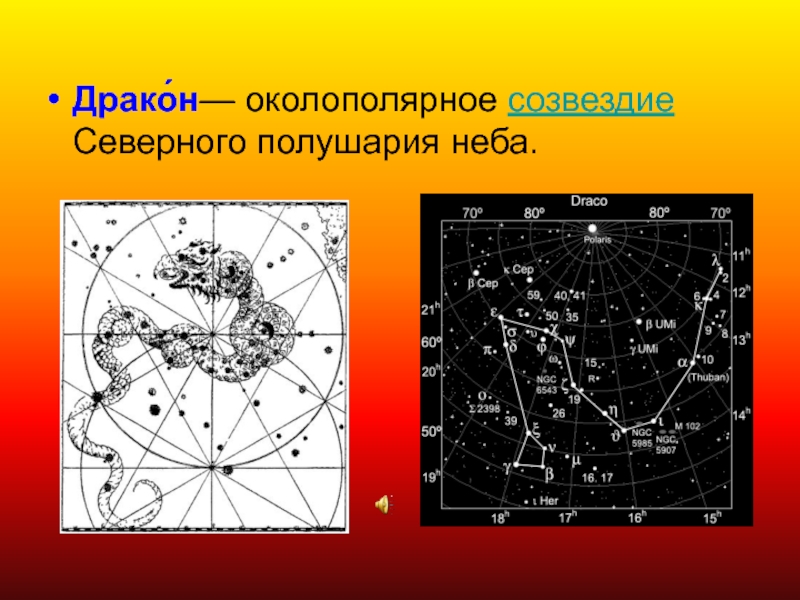 Какие созвездия на северном полушарии. Созвездия Северного полушария дракон. Карта созвездий Северного полушария. Околополярные созвездия. Созвездия по полушариям.