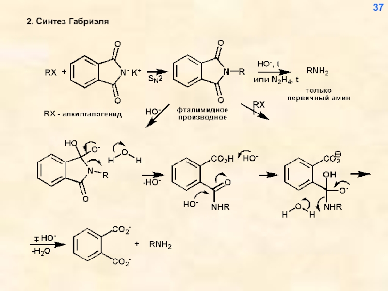 Второй синтез. Синтез Аминов по Габриэлю. Синтез Габриэля из фталимида. Фталимидный Синтез Габриэля этиламина. Метод Габриэля Синтез аминокислот.