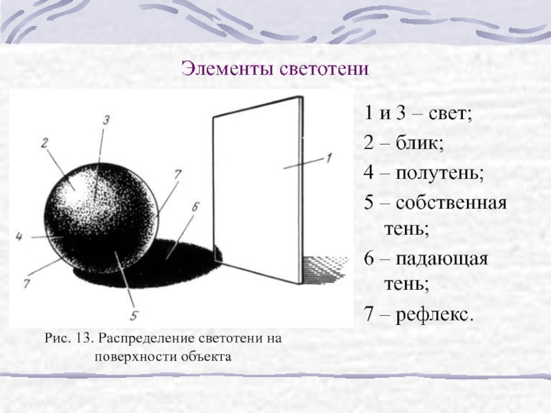 Свет тень полутень рефлекс блик в рисунке