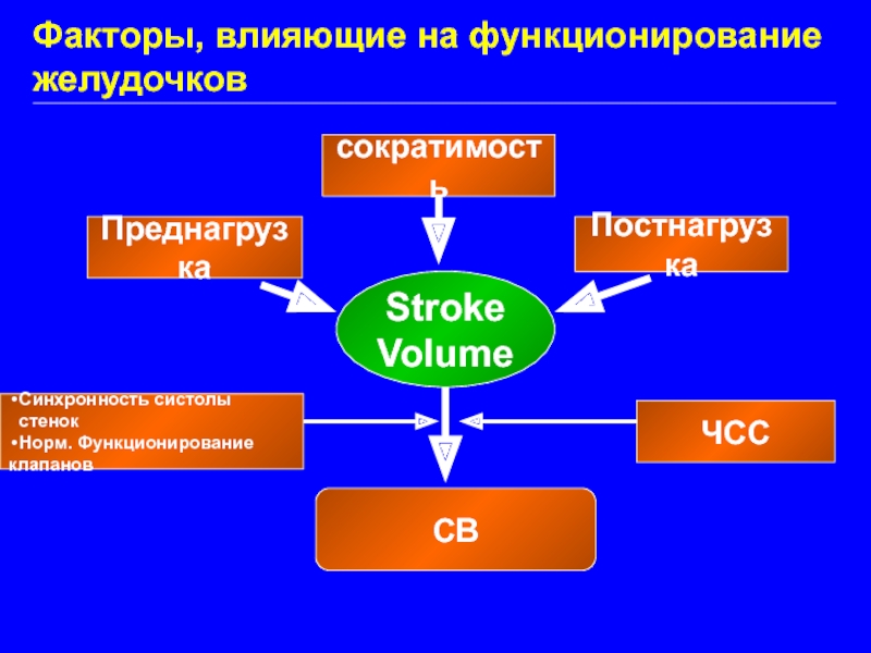Stroke Volume Преднагрузка Постнагрузка сократимость СВ ЧСС Факторы, влияющие на функционирование желудочков Синхронность систолы стенок Норм. Функционирование