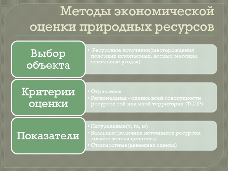 Реферат: Хозяйственная оценка природных ресурсов России