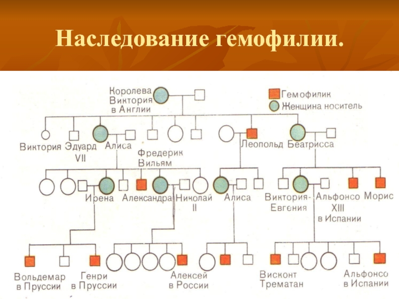 Гемофилия. Гемофилия Тип наследования схема. Родословная Романовых гемофилия. Тип наследования при гемофилии. Гемофилия генетика Тип наследования.