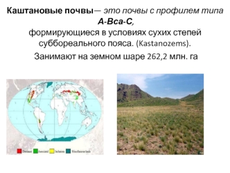 Каштановые почвы. Почвообразующие породы