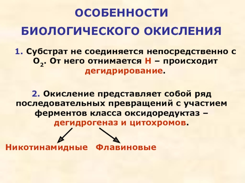 Современная схема биологического окисления