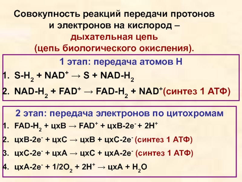 Совокупность реакций