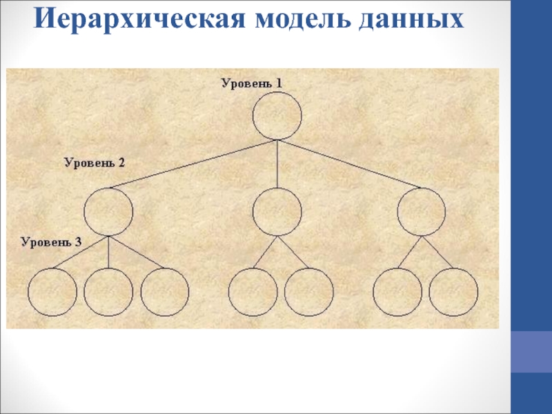 Обведи номера схем с помощью которых можно объяснить понятие иерархия