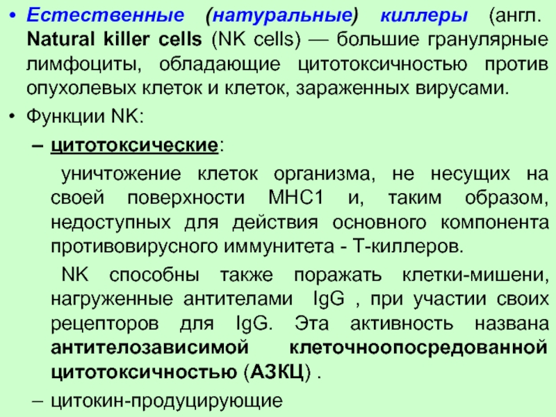 Натуральные клетки. Функции натуральных киллеров иммунология. Функции естественных киллеров иммунология. Естественные киллеры NK-клетки. Естественные клетки киллеры функции.