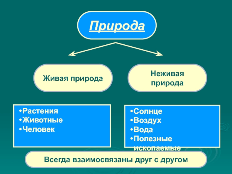 Какой жанр представляет собой изображение неживой природы