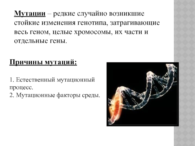 Не вызывает изменения генотипа. Факторы мутации. Причины мутационного процесса.