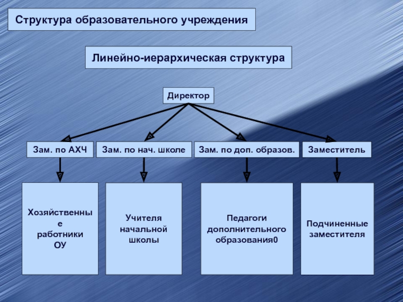 Структура образовательного учрежденияЛинейно-иерархическая структураДиректорЗам. по АХЧЗам. по нач. школеЗам. по доп. образов.Хозяйственные работники ОУУчителя начальной