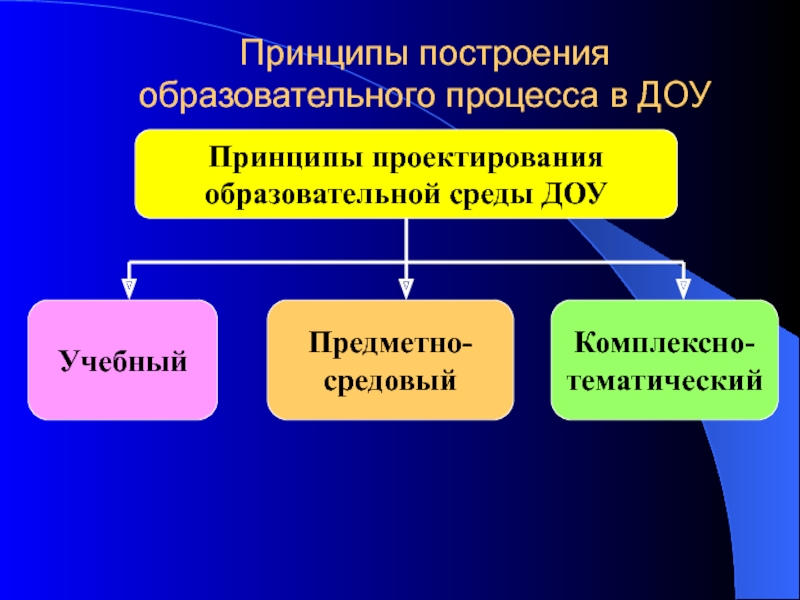 Принципы учебного процесса. Принципы образовательного процесса в ДОУ. Принципы построения образовательного процесса в ДОУ. Принципы построения педагогического процесса в ДОУ. Принципы педагогической деятельности в ДОУ.