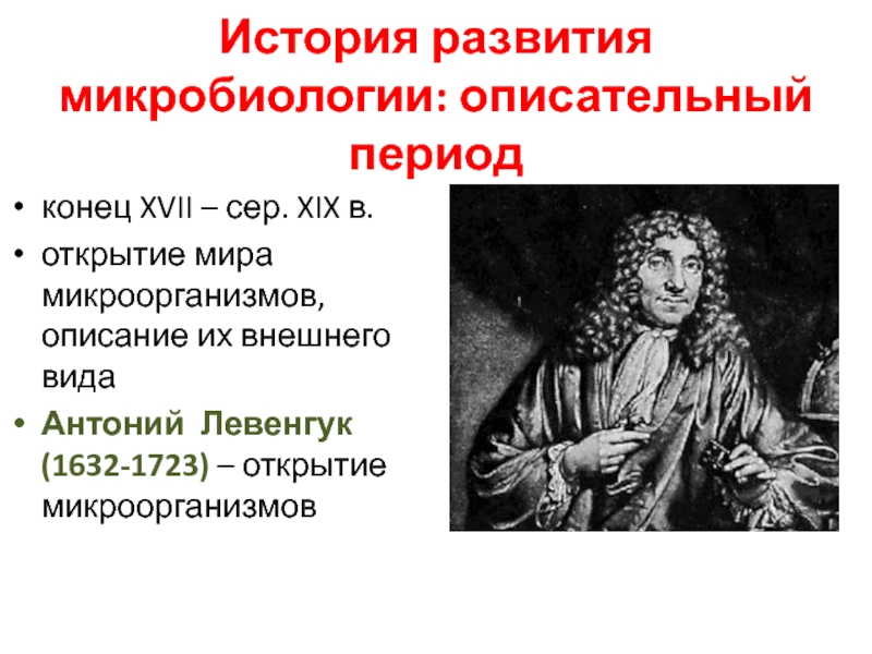 Кто первым увидел и описал микроорганизмы